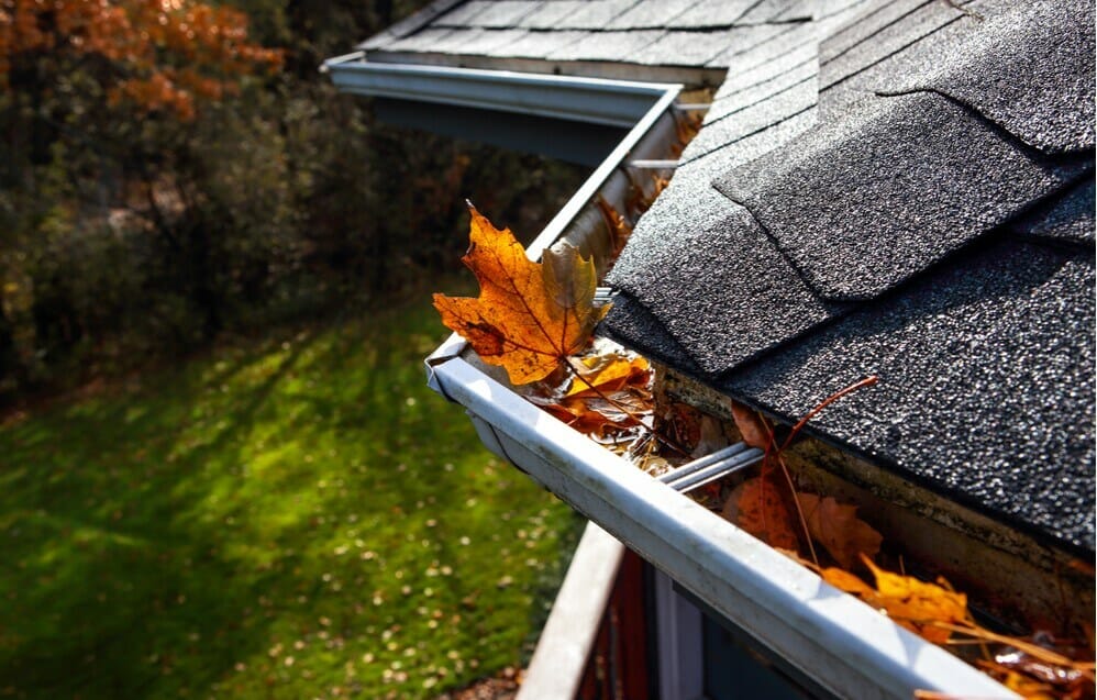 clogged roof gutters with leaves