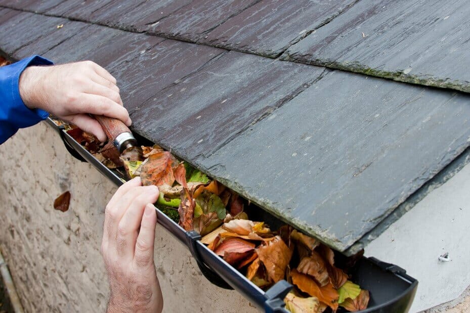 man removing leaves from gutter using tool
